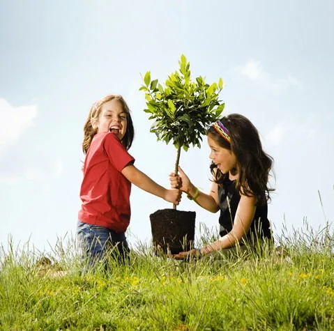 开云APP